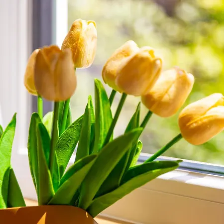 Апартаменты Happy People 1-bd - White By Flat Mаnager *