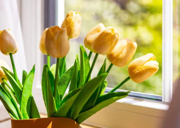 Lejlighed Happy People 1-bd - White By Flat Mаnager *